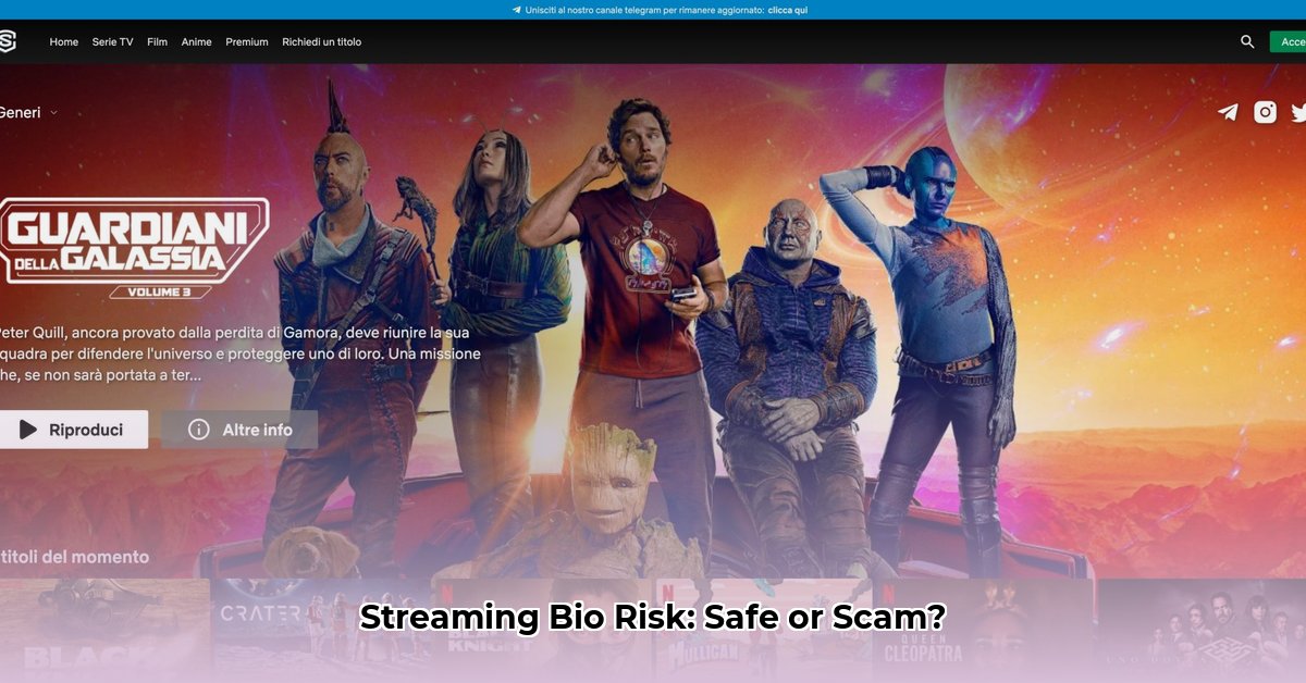 streaming-community-bio